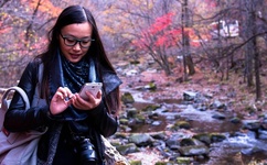 国产亚洲精品久久久久的角色